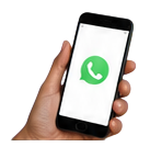 Pide presupuesto de mural por WhatsApp